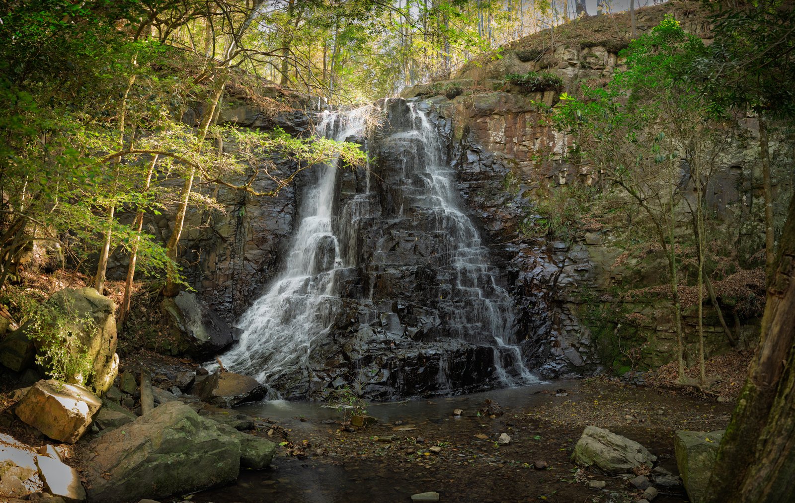 Falling water framed by the Hogsback forest