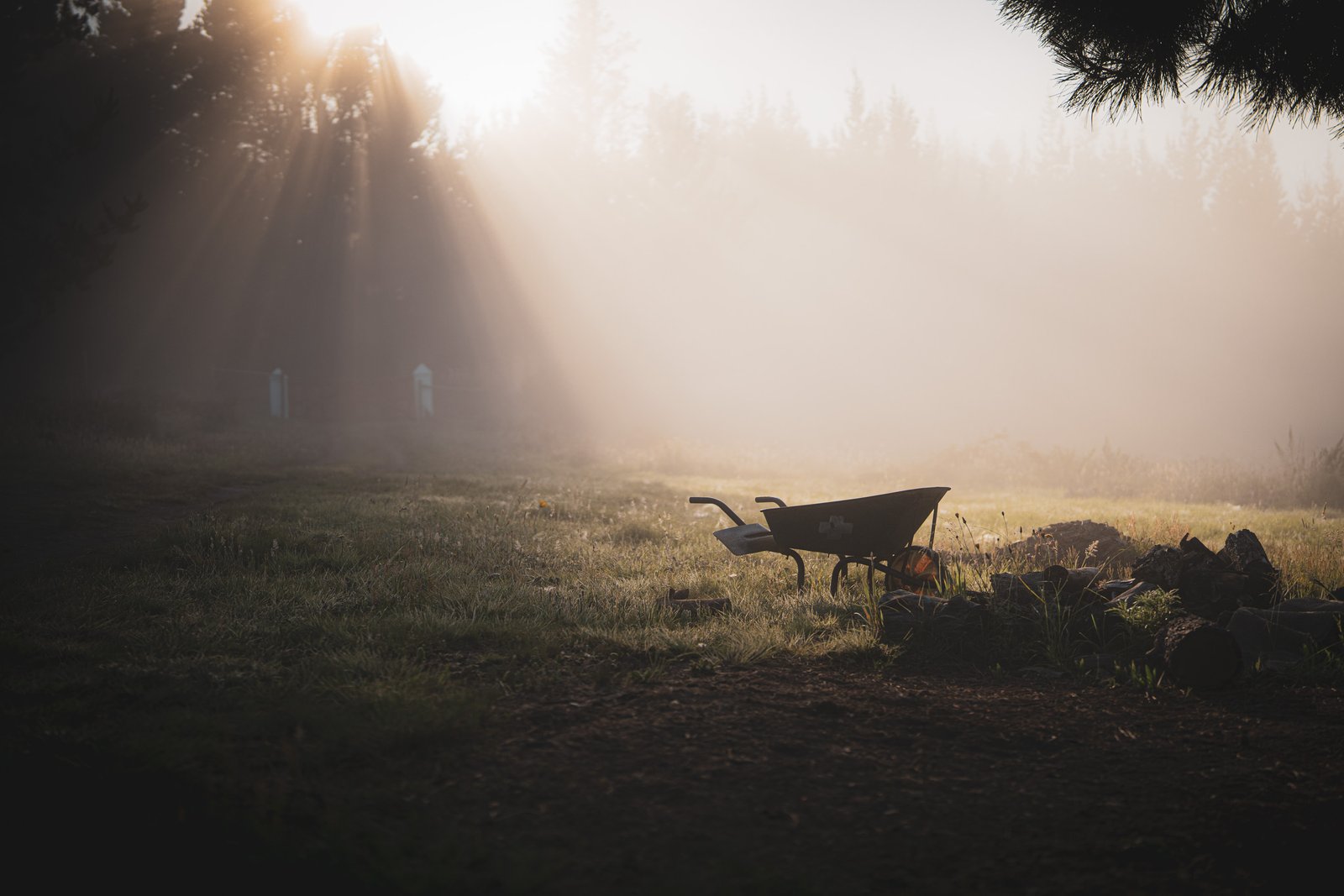 Golden morning light and mist around a garden wheelbarrow and trees in Hogsback.