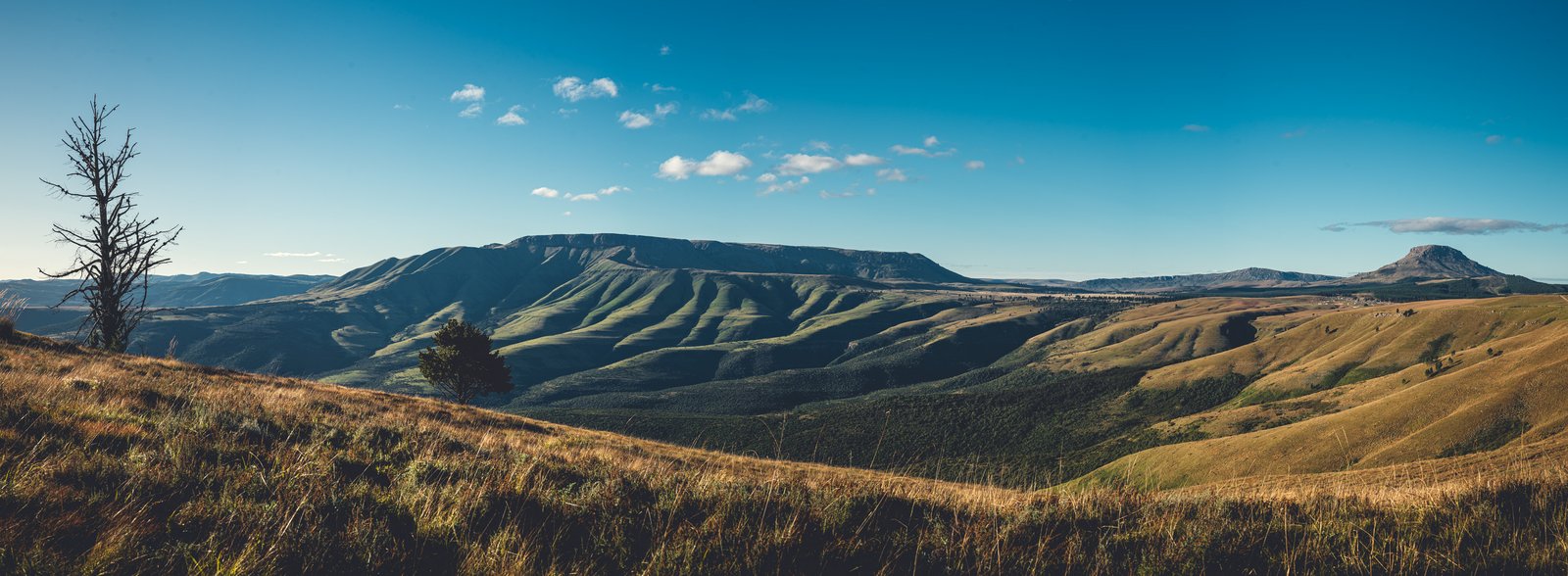 A panoramic view across rolling mountain ridges and valleys around Hogsback.