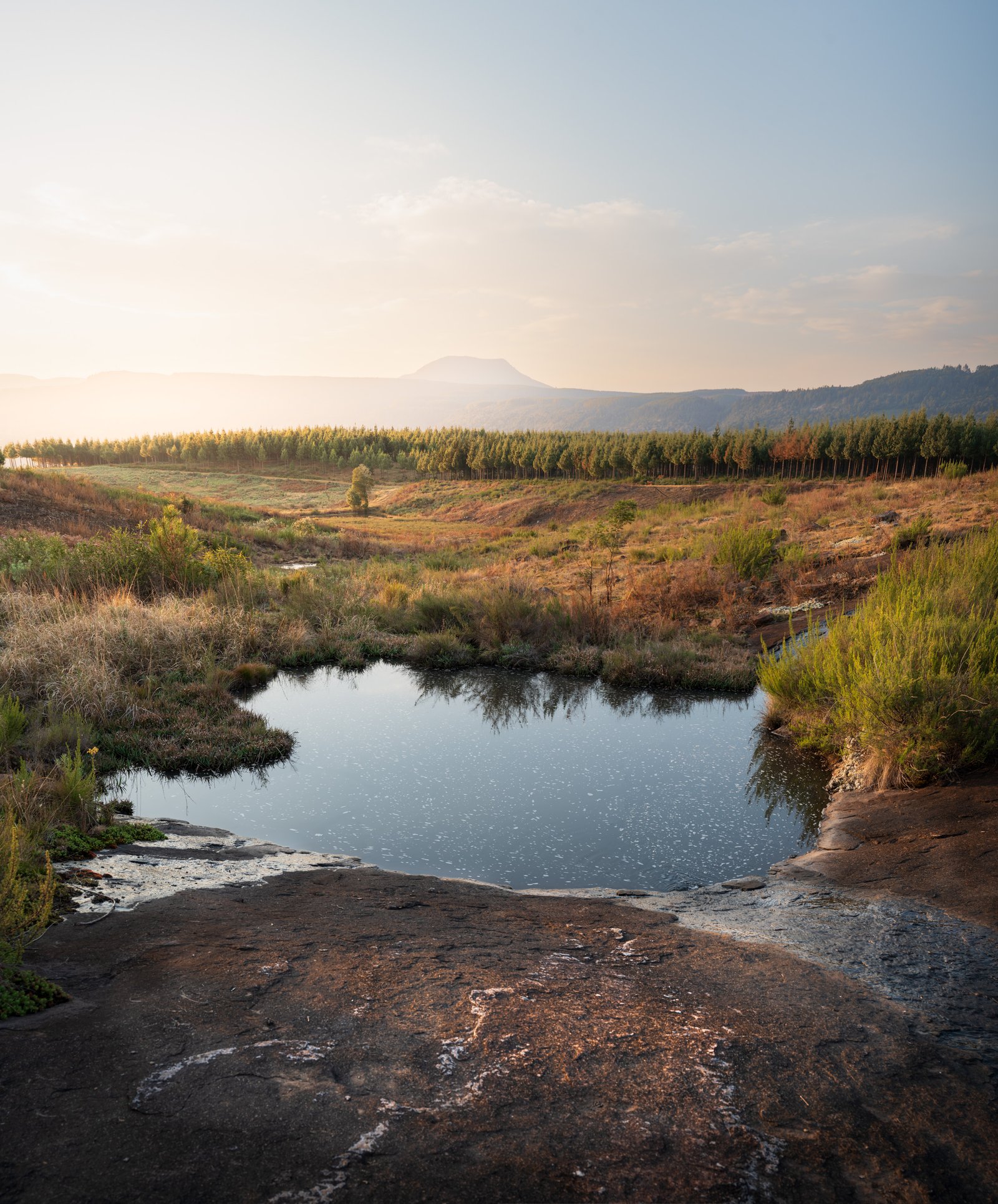 A small pool reflecting the sky beside open grassland around Hogsback.