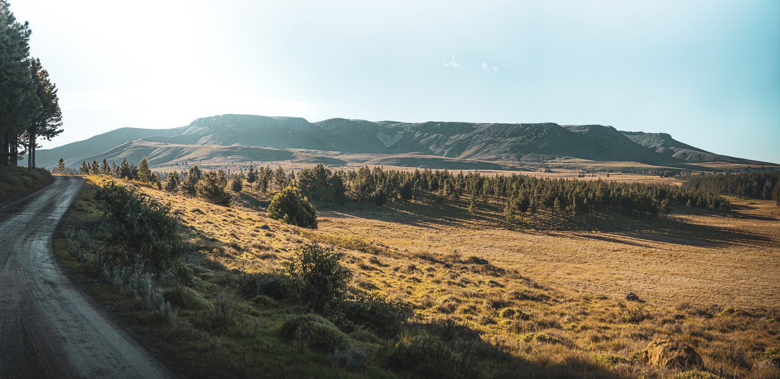 A road beside open grassland and mountain ridges around Hogsback.