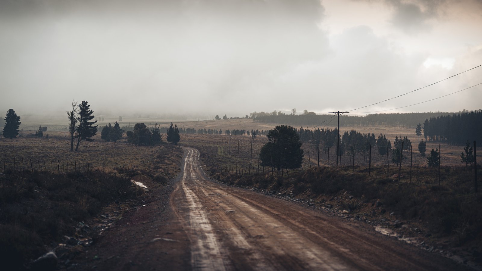 A quiet rural road leading towards mist-covered hills near Hogsback.